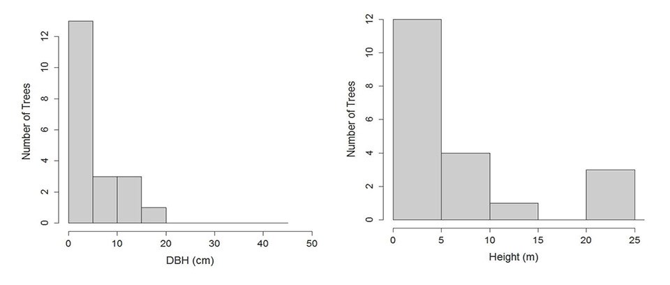 Graphs showing average height and diameter of American chestnut trees in Rock Creek Park.