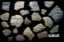 Prehistoric ceramics from Whitehurst Freeway sites. Prehistoric ceramics from Whitehurst Freeway sites.