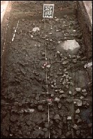 Feature 502 excavation. Feature 502 excavation.