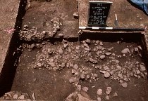 Hearth features from the Peter House site. Hearth features from the Peter House site.