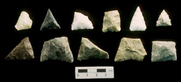 Levanna Triangular Blades