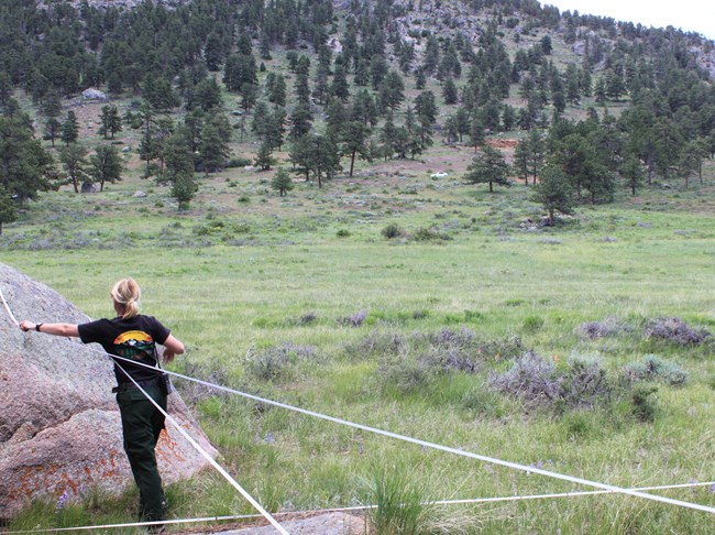 Fire effects staff lays out measuring tape for transect