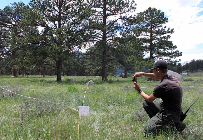 Fire effects staff photographs plot