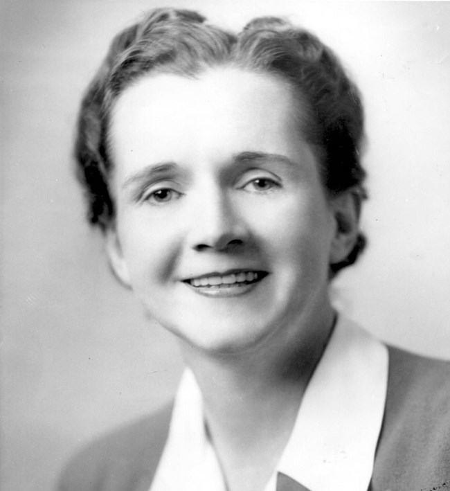 Portrait of Rachel Carson