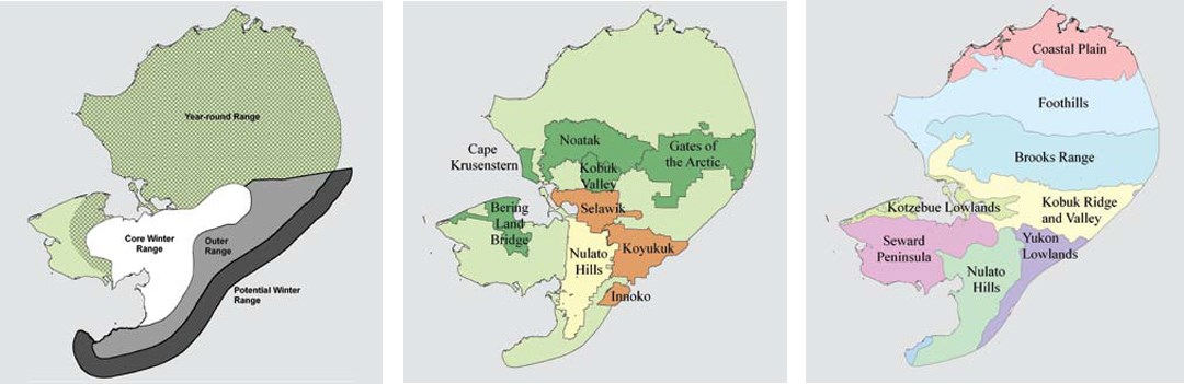 Three individual maps marking the extent of the Western Arctic Caribou Herd.