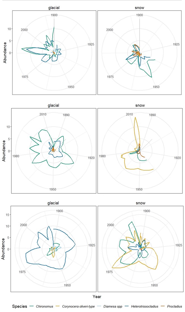 Rank clock graphs of chronomid species abundance at three pairs of lakes Rank clock graphs showing chronomid species abundance