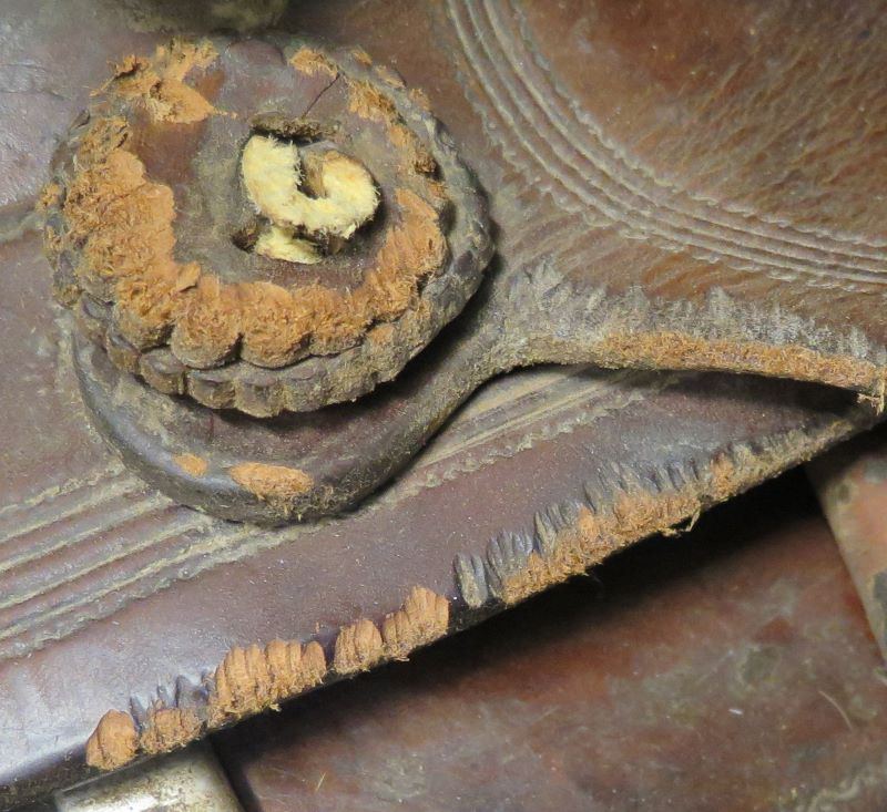 Rat teeth marks on a saddle