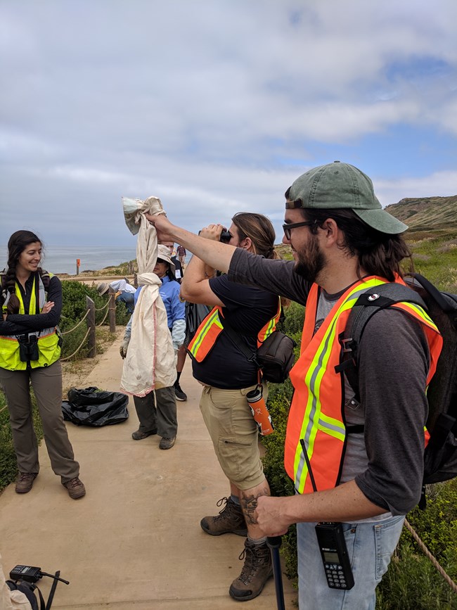 Moving a rattlesnake An SDSU herpetologist holds up a canvas bag containing a baby Southern Pacific Rattlesnake while biologists look on. The unharmed snake is being relocated to a location underneath plants that are away from the tidepool trail.