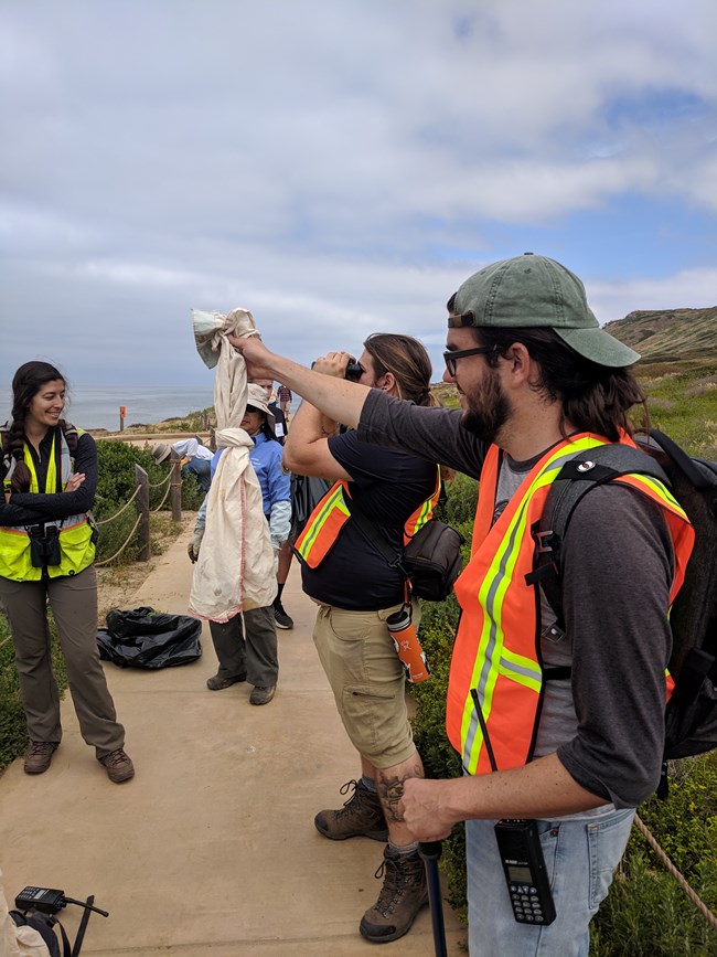 An SDSU herpetologist holds up a canvas bag containing a baby Southern Pacific Rattlesnake while biologists look on. The unharmed snake is being relocated to a location underneath plants that are away from the tidepool trail.