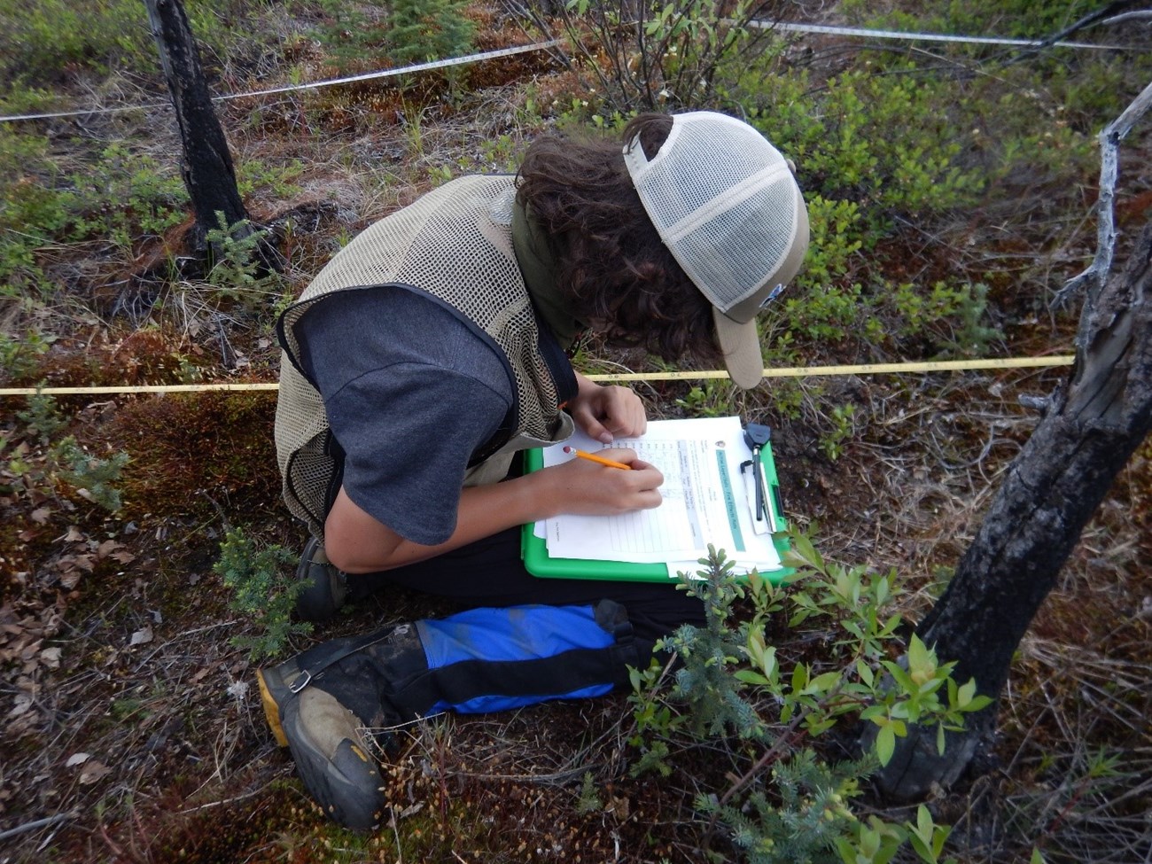 Recording active layer depth A student kneeling in vegetation records active layer depths on a clipboard.