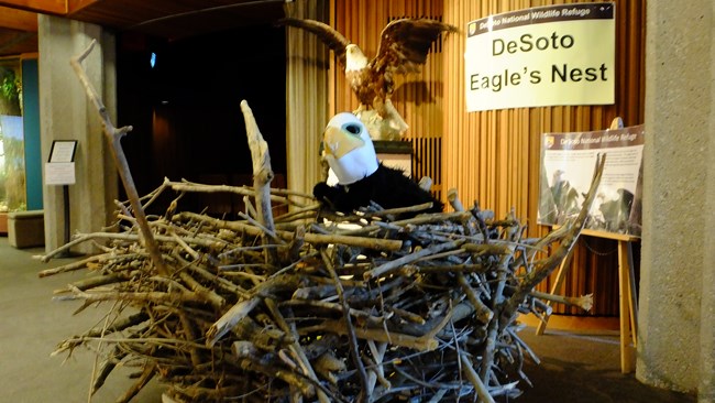 stuffed pup wearing eagle mask