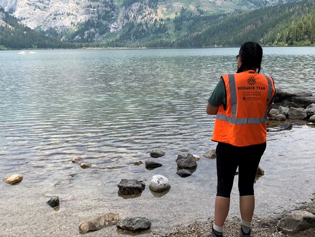 A student gazes out at a lake. The back of their vest reads ‘Research Team.