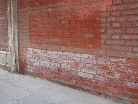 Rising Damp Wall Brick wall