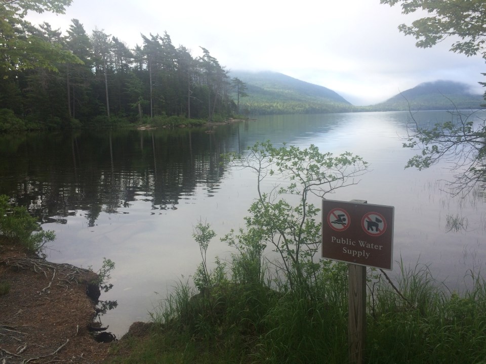 park sign public water supply, no swimming, no dogs. Next to a lake on a cloudy day.