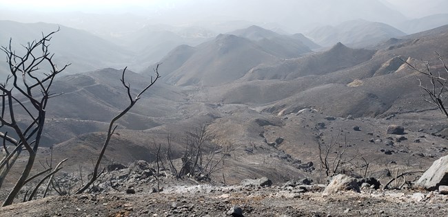 Rolling mountains are gray and covered in ash of burnt vegetation. The sky appears hazy in the post-fire smoke.
