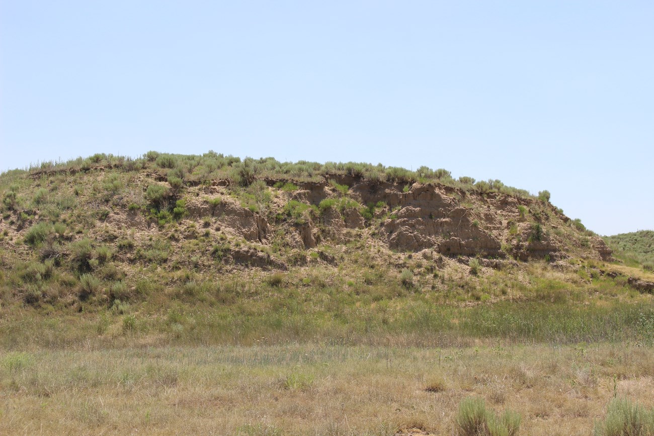 steep hillside bluff