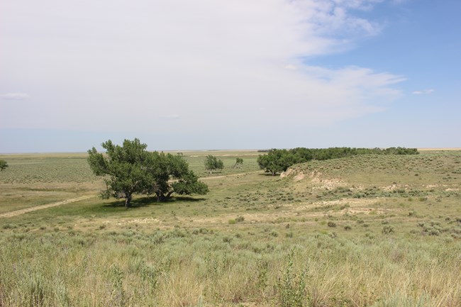 view of the plains