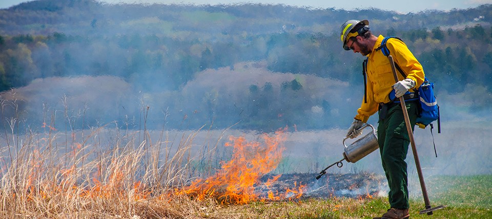 Wildland firefighter uses a drip torch to ignite grasses in an open field.