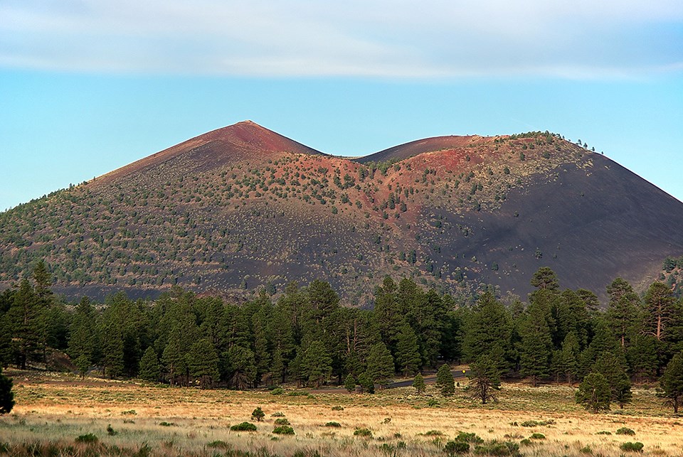Cindercone with crater at the top and scattered trees, with pine forest and grassland in the foreground.