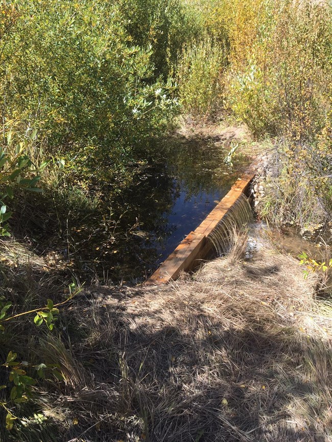 Wooden structure built across a small stream is level with the bank, water cascades over it.