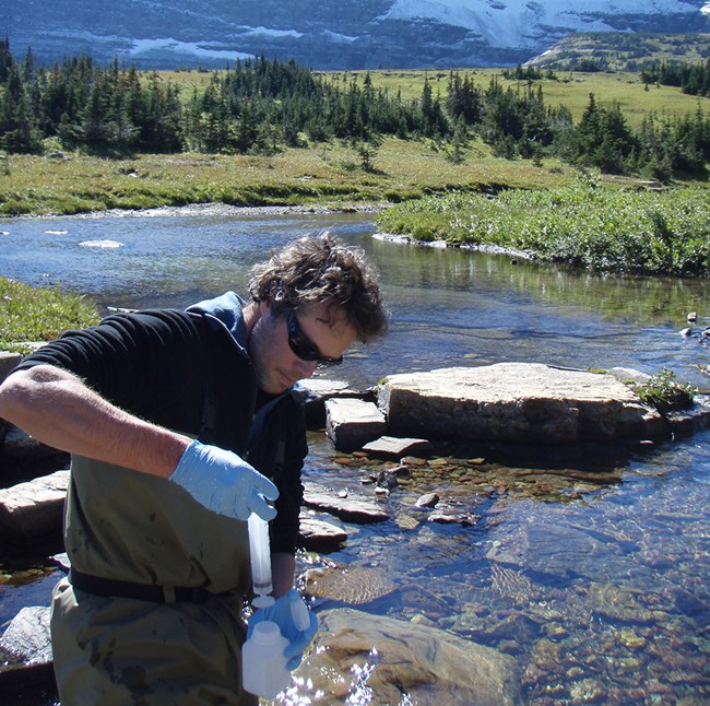 Water chemistry sampling at Reynolds Creek in Glacier NP technician wearing plastic gloves and adding a water sample to collection bottle, with stream, forest, and mountains in the background