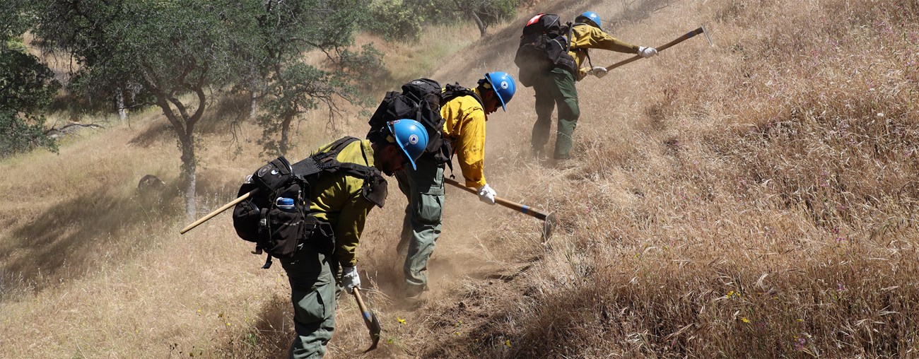 Three firefighters use handtools to dig fireline on a slope covered in dried grasses.