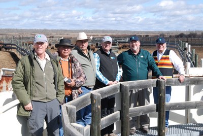 Six men stand above a bison loading doc and smile at the camera