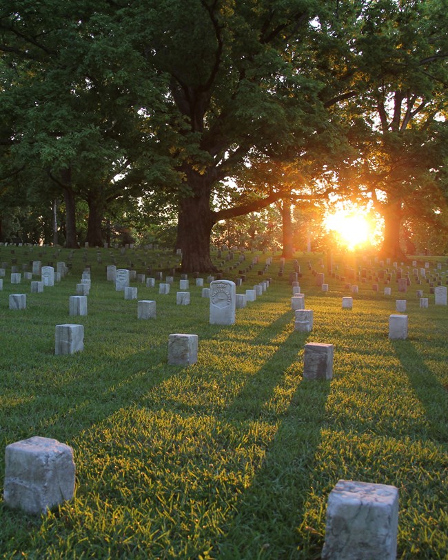 SHIL_sunrise_nocover sunrise over cemetery