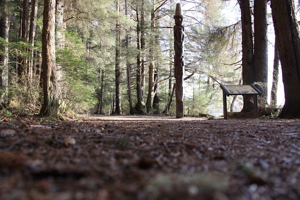 Wayside and trail through the woods