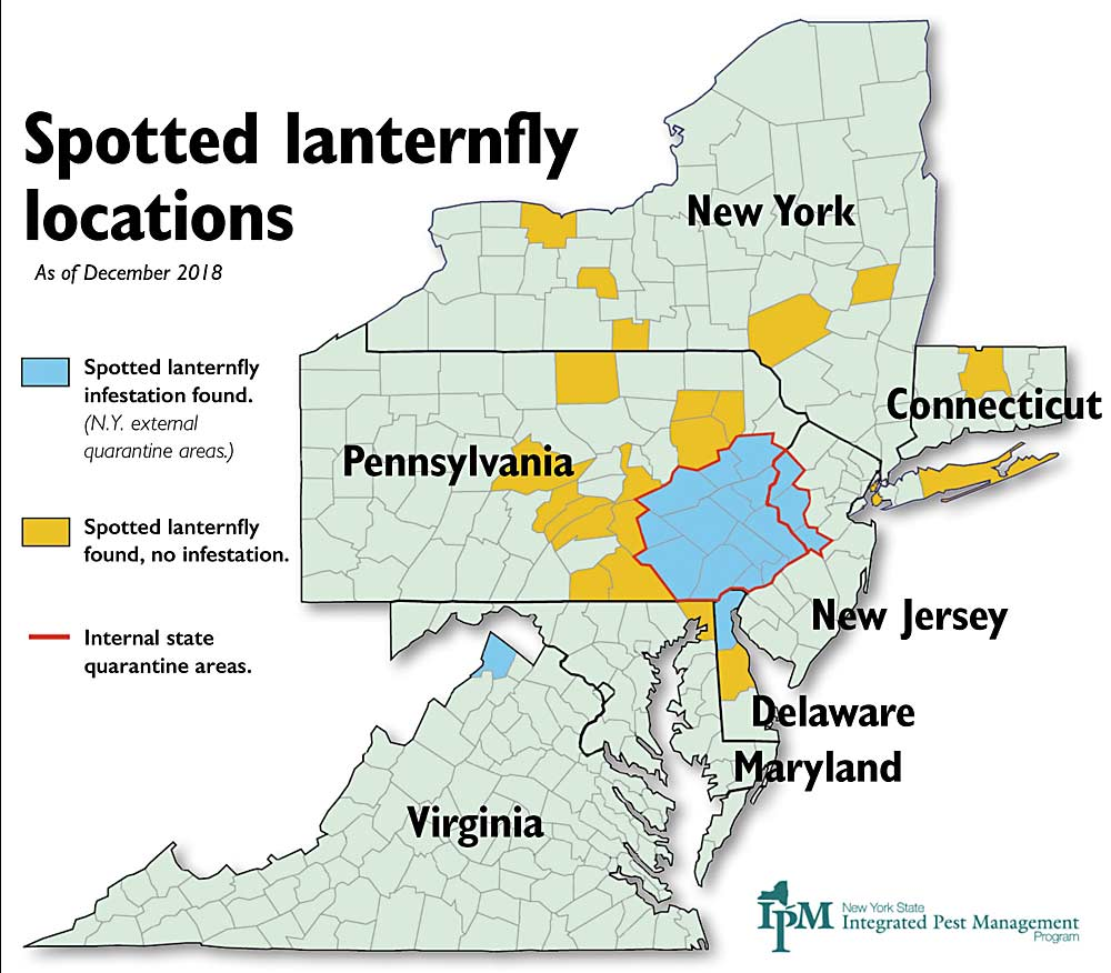Map showing counties with spotted lanternfly in states of New York, Pennsylvania, Connecticut, New Jersey, Delaware, Maryland, and Virginia, 2019
