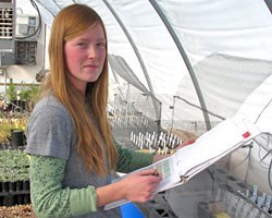 Douglas conducting a seedling trail. Conducting a seedling trail on potted plants inside of the greenhouse.