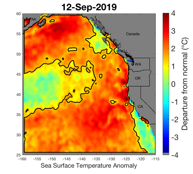 Large areas of orange and red indicate above average sea surface temperatures in this map of the Northeastern Pacific