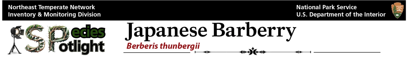 SS_JB_title SS_JB_title