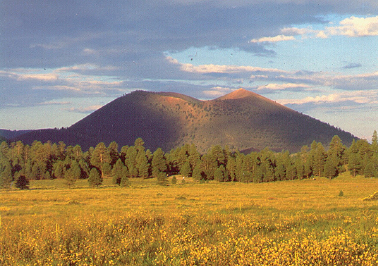 forest and rangeland with cinder cone
