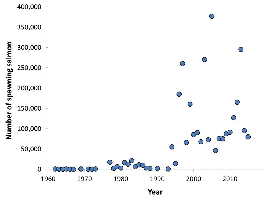 Graph of salmon and environmental conditions.