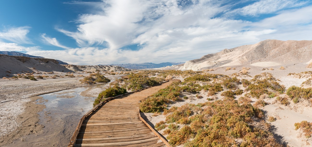 A wooden boardwalk leads into the distance through a scrubby desert scape.