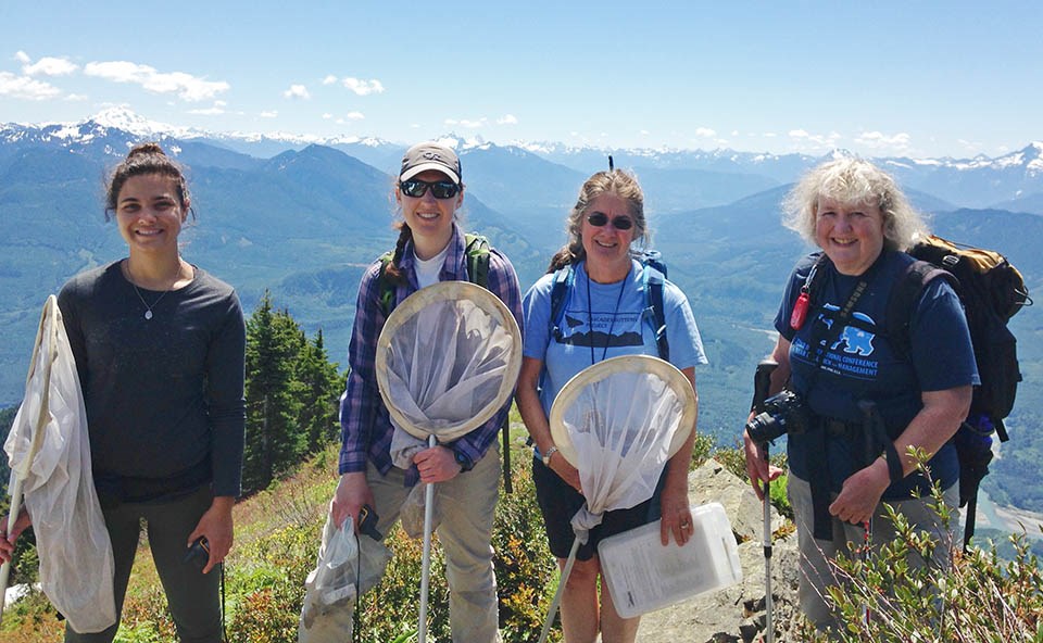 Four people with buttefly nets and other survey equipment on a mountain, with more mountains in the distance
