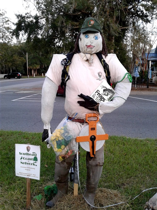 Scarecrow in an NPS hat