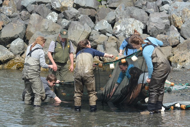 students in waders stand in a stream with a net