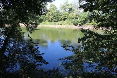 Calm waters on a river as seen through a clearing between trees