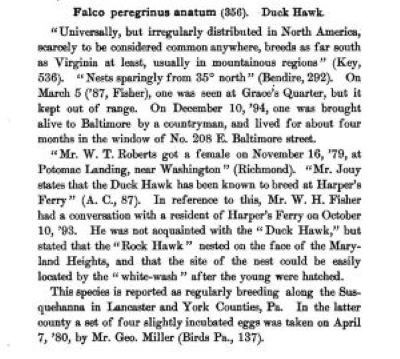 entry from a book; to summarize, the text talks about peregrine falcons sighted in Harpers Ferry on Maryland Heights in the late 1800s