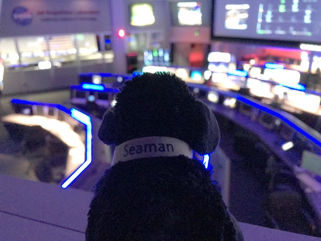 toy dog overlooking mission control