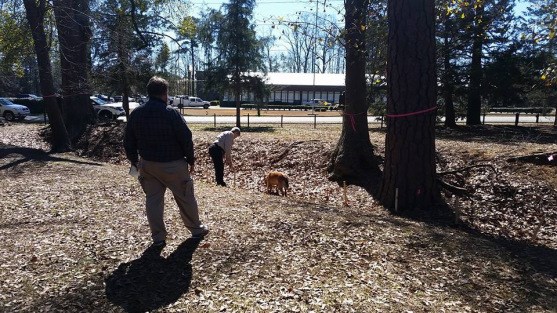 Search and recovery dogs, trained to sniff out human remains, “hit on” several spots in the ditch.