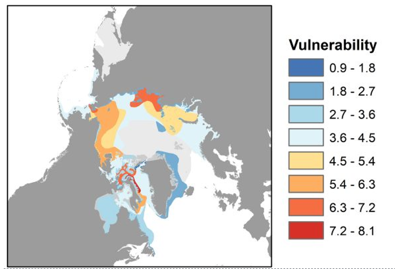 Color coded map of the Arctic Ocean indicating the areas where marine mammals are most vulnerable to shipping.