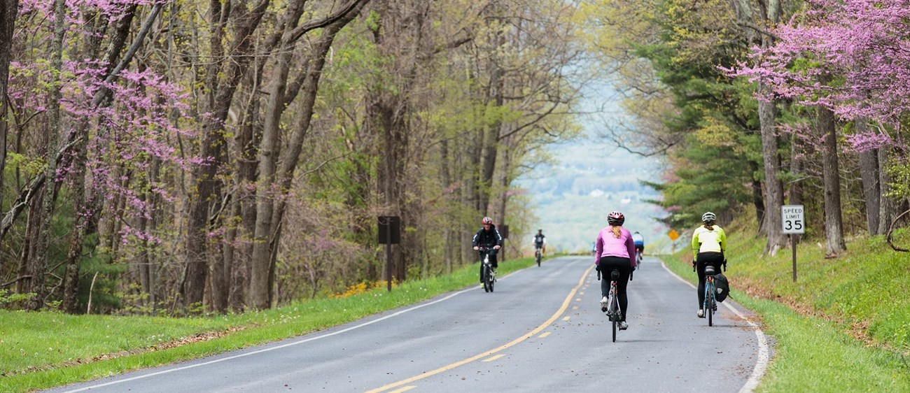 Cyclists on a road Cyclists on a road