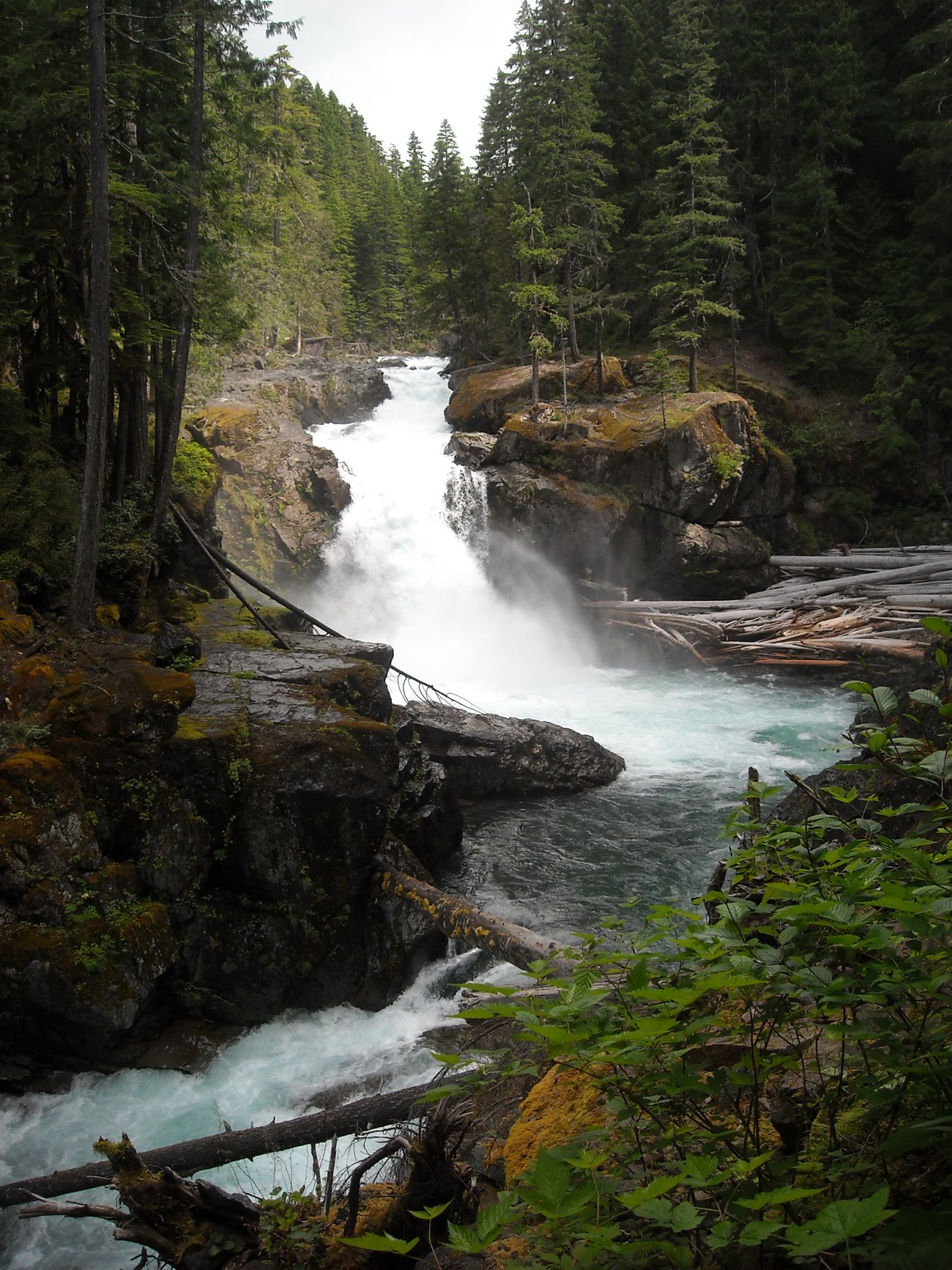 White water crashes through narrow gap in boulders on the Ohanapecosh River.