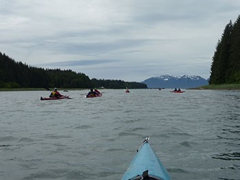 a group of kayakers paddling