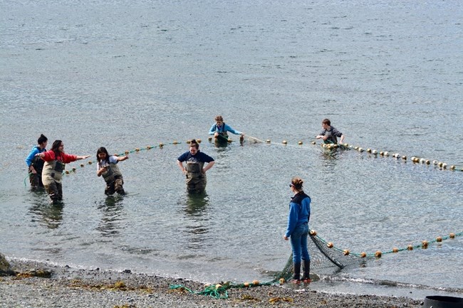 Students in waders stand in ocean water with a large floating net.