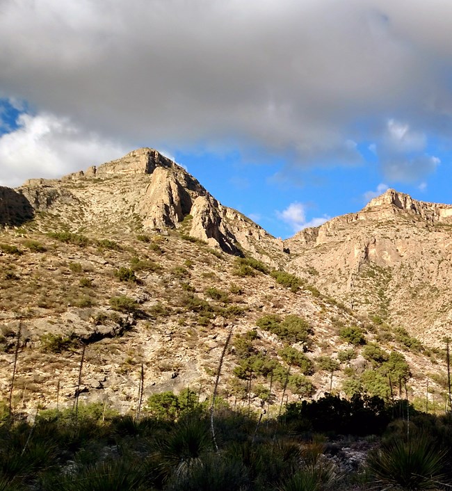 Two rocky peaks with shrubs on slopes at lower elevations and gray clouds above