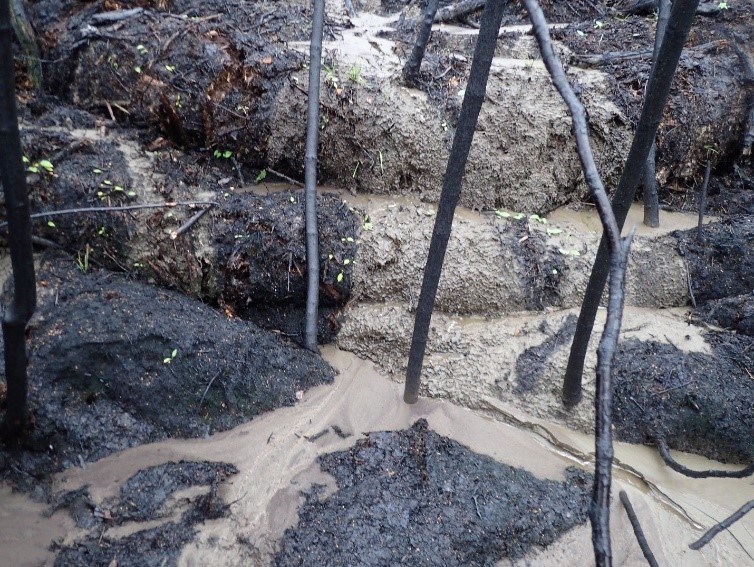 Muddy water, like chocolate pudding, runs through slumps in the ground.